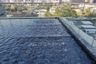 1 Bedroom Condo for rent in OKA HAUS Sukhumvit 36, Khlong Tan, Bangkok near BTS Thong Lo