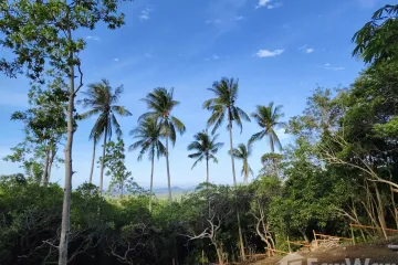 Land for sale in Na Mueang, Surat Thani