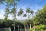 Land for sale in Na Mueang, Surat Thani