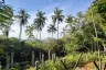 Land for sale in Na Mueang, Surat Thani