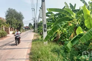 Land for sale in Pru Yai, Nakhon Ratchasima