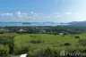 Land for sale in Pa Khlok, Phuket