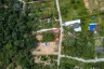 Land for sale in Mae Nam, Surat Thani