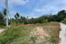 Land for sale in Mae Nam, Surat Thani