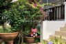 3 Bedroom House for rent in Nong Prue, Chonburi