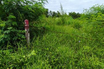 Land for sale in Nong Prue, Chonburi