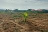 Land for sale in Nong Prue, Chonburi