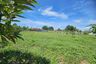 Land for sale in Nong Prue, Chonburi