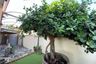 3 Bedroom House for rent in Phuket Villa Thalang, Si Sunthon, Phuket