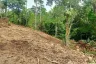 Land for sale in Lipa Noi, Surat Thani