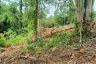 Land for sale in Lipa Noi, Surat Thani