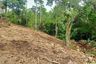 Land for sale in Lipa Noi, Surat Thani