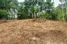 Land for sale in Lipa Noi, Surat Thani
