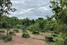 Land for sale in Ban Luang, Chiang Mai