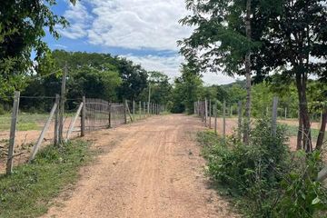 Land for sale in Ban Luang, Chiang Mai