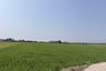 Land for sale in Sop Tia, Chiang Mai