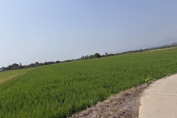 Land for sale in Sop Tia, Chiang Mai