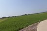 Land for sale in Sop Tia, Chiang Mai