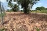 Land for sale in Nong Prue, Chonburi