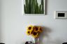 1 Bedroom Condo for sale in Aeras, Nong Prue, Chonburi