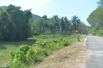 Land for sale in Ko Yao Yai, Phang Nga