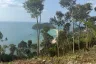 Land for sale in Ko Pha-ngan, Surat Thani
