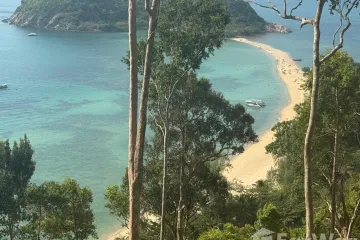 Land for sale in Ko Pha-ngan, Surat Thani