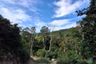 Land for sale in Ang Thong, Surat Thani