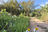 Land for sale in Ang Thong, Surat Thani