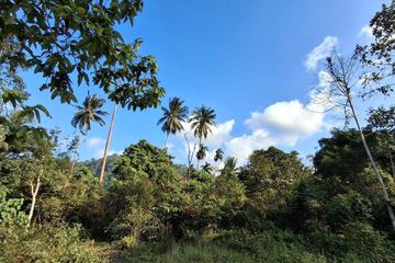 Land for sale in Ang Thong, Surat Thani