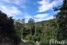 Land for sale in Ang Thong, Surat Thani