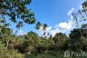 Land for sale in Ang Thong, Surat Thani