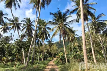 Land for sale in Ang Thong, Surat Thani