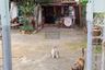 3 Bedroom House for sale in Chan Kasem, Bangkok near MRT Lat Phrao