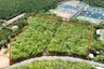 Land for sale in Pa Khlok, Phuket