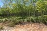 Land for sale in Pa Khlok, Phuket