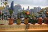 1 Bedroom Condo for sale in The Waterford Park Sukhumvit 53, Khlong Tan Nuea, Bangkok near BTS Thong Lo