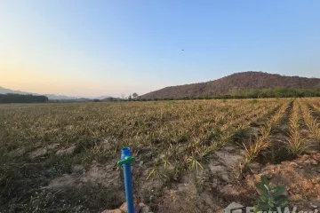 Land for sale in Nong Ta Taem, Prachuap Khiri Khan