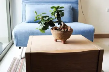 Condo for rent in The Riviera Wongamat, Na Kluea, Chonburi