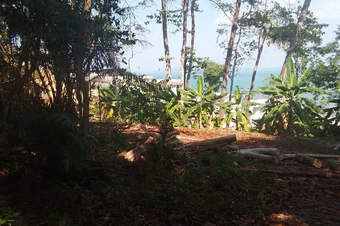 Thalang, Phuket - Photo 2