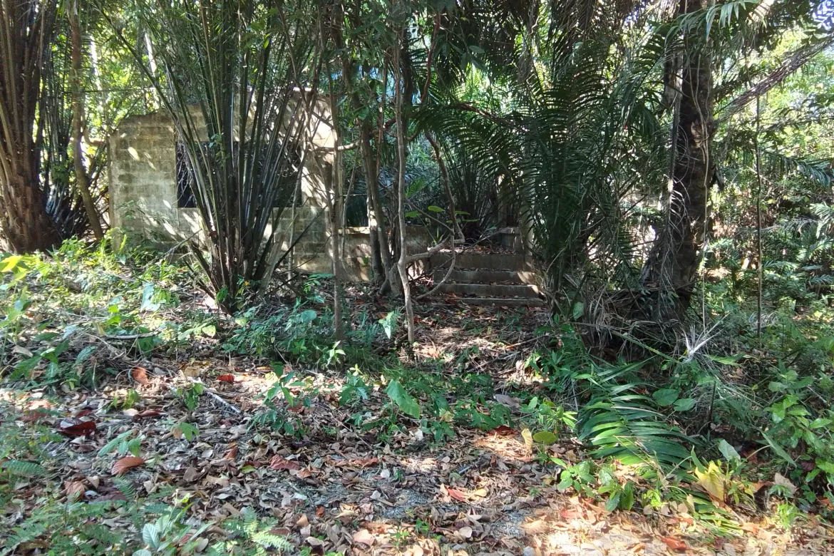 Thalang, Phuket - Photo 3