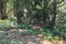 Land for sale in Pa Khlok, Phuket
