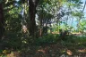 Land for sale in Pa Khlok, Phuket