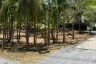 Land for sale in Rawai, Phuket