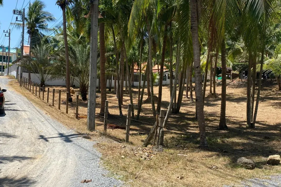 Mueang Phuket, Phuket - Photo 2