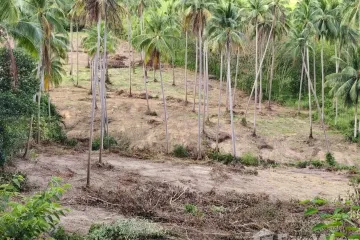 Land for sale in Na Mueang, Surat Thani