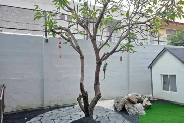 5 Bedroom House for rent in Lat Phrao, Bangkok