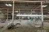 Warehouse / Factory for rent in Lat Sawai, Pathum Thani