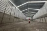 Warehouse / Factory for rent in Bang Khu Wat, Pathum Thani