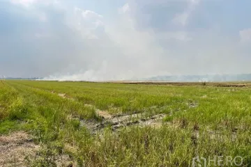 Land for sale in Lam Luk Ka, Pathum Thani